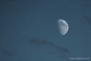 Moon in the evening sky