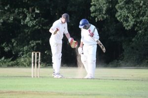 Pec Watches On as the Keeper Spreads Some Sawdust