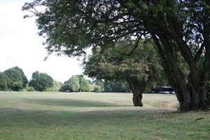 Harpenden Common