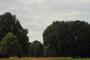 Looking Up To The Third Tee