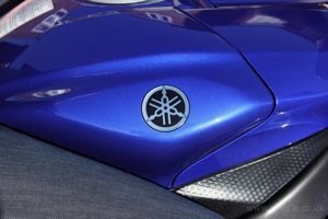 Badge Closeup