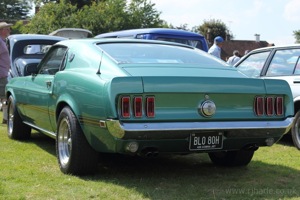 Mustang