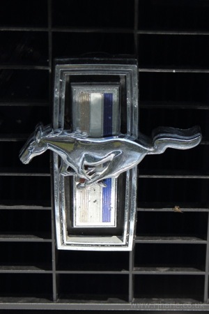Mustang Badge