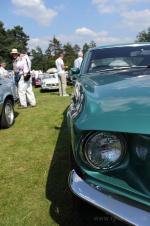 Mustang