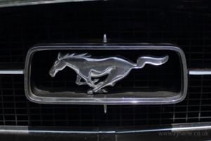 Another Mustang Badge