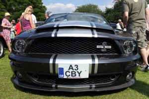 Shelby Mustang GT500 Super Snake