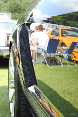 Shelby Mustang Reflection