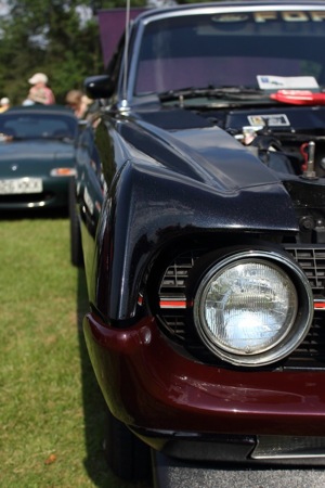 Mustang