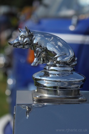 Rolls Royce Pig