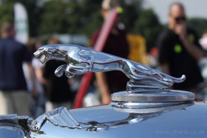 Jaguar Emblem