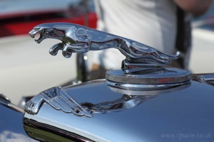 Jaguar Emblem