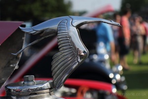 Emblem From An Unknown Classic