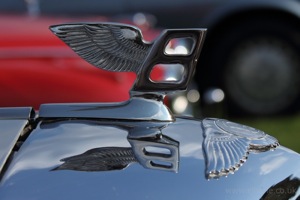 Bentley Logo