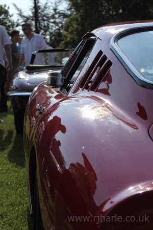 Ferrari Dino Side Detail