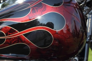 Harley Davidson Paint Detail
