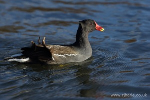 What Are You Looking At?