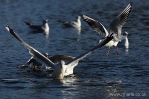 The Getaway [1 of 3]