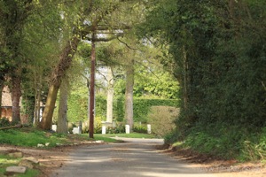 View Down Cross Lane