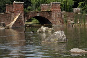 The Bridge Over the Lake