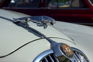 Classics on the Common 2014