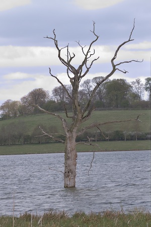 Rutland Nature Reserve, April 2015