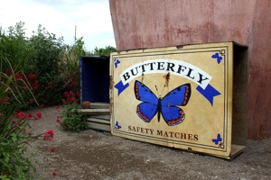 Butterfly World