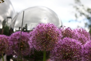 Butterfly World