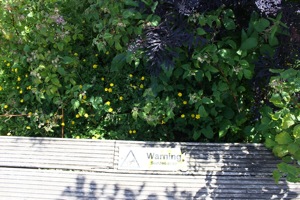 Butterfly World